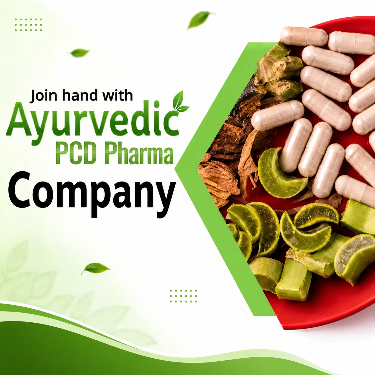 Ayurvedic Pharma Products