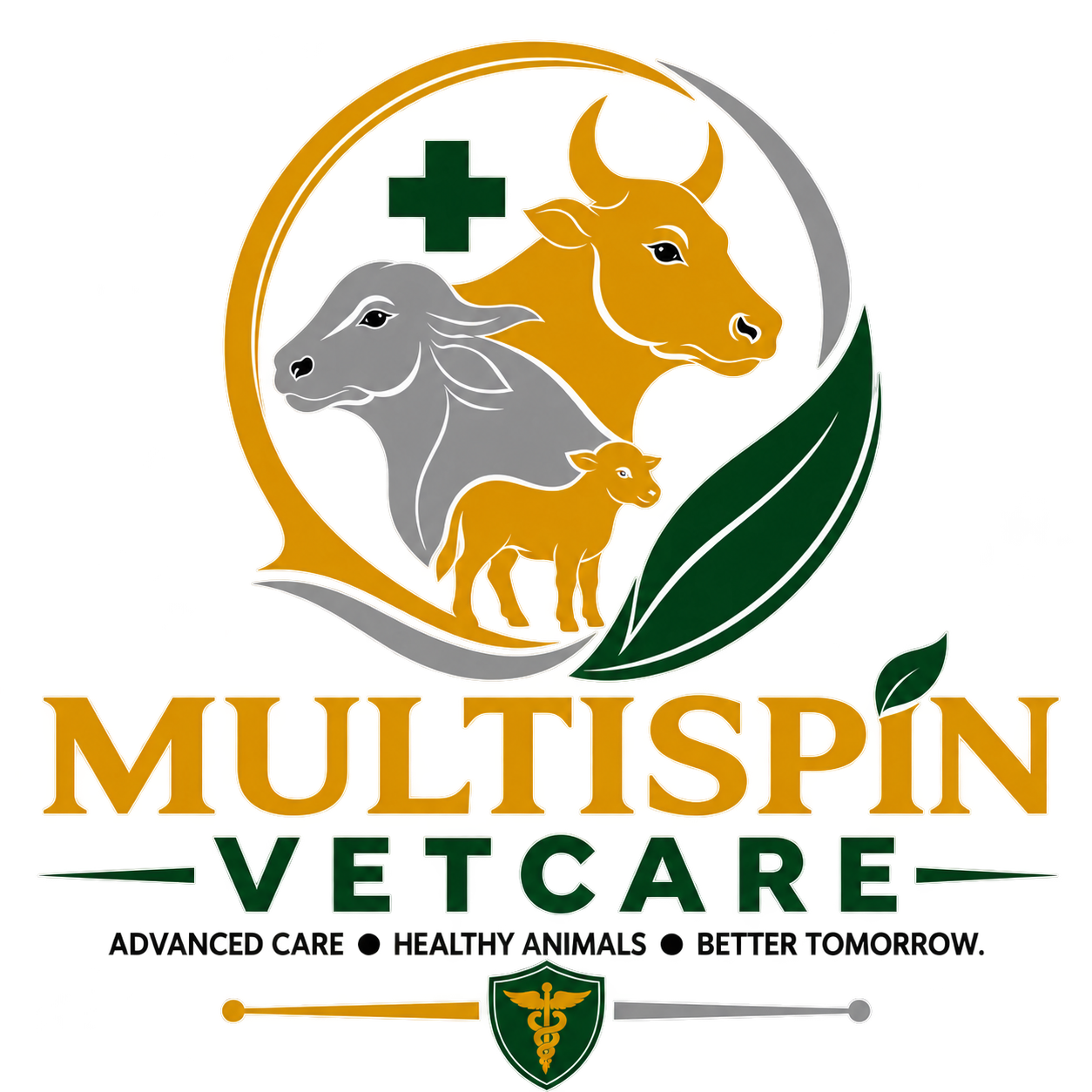 multispin